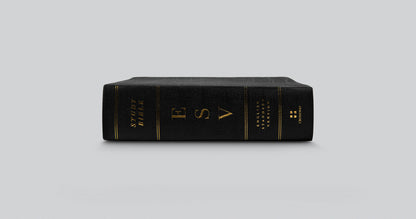 ESV Study Bible, Personal Size, Genuine Leather, Black